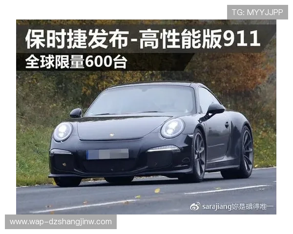 保时捷pg娱乐官网下载最新版本，安全稳定的官方渠道推荐